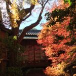 『東山荘 秋まつり2021』が11月6日・7日に開催されるようです！【瑞穂区イベント】